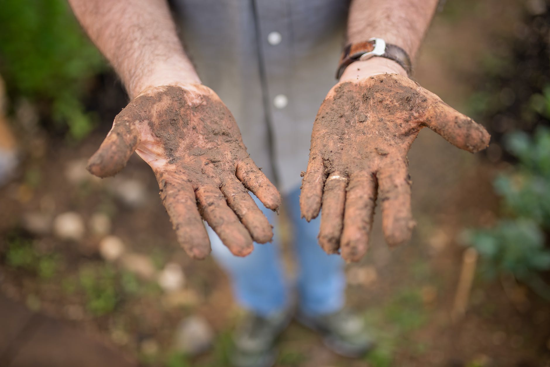 a dirty hands with soil