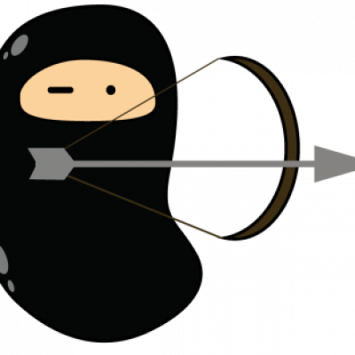 NinjaFlechawide