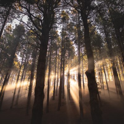 david-monje-uzEUaedQLBA-unsplash