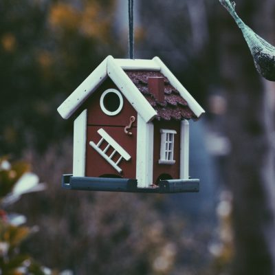 oportunidades con nudaprop