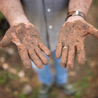 a dirty hands with soil