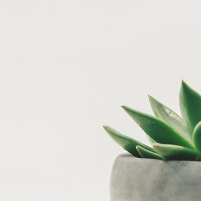 minimalismo